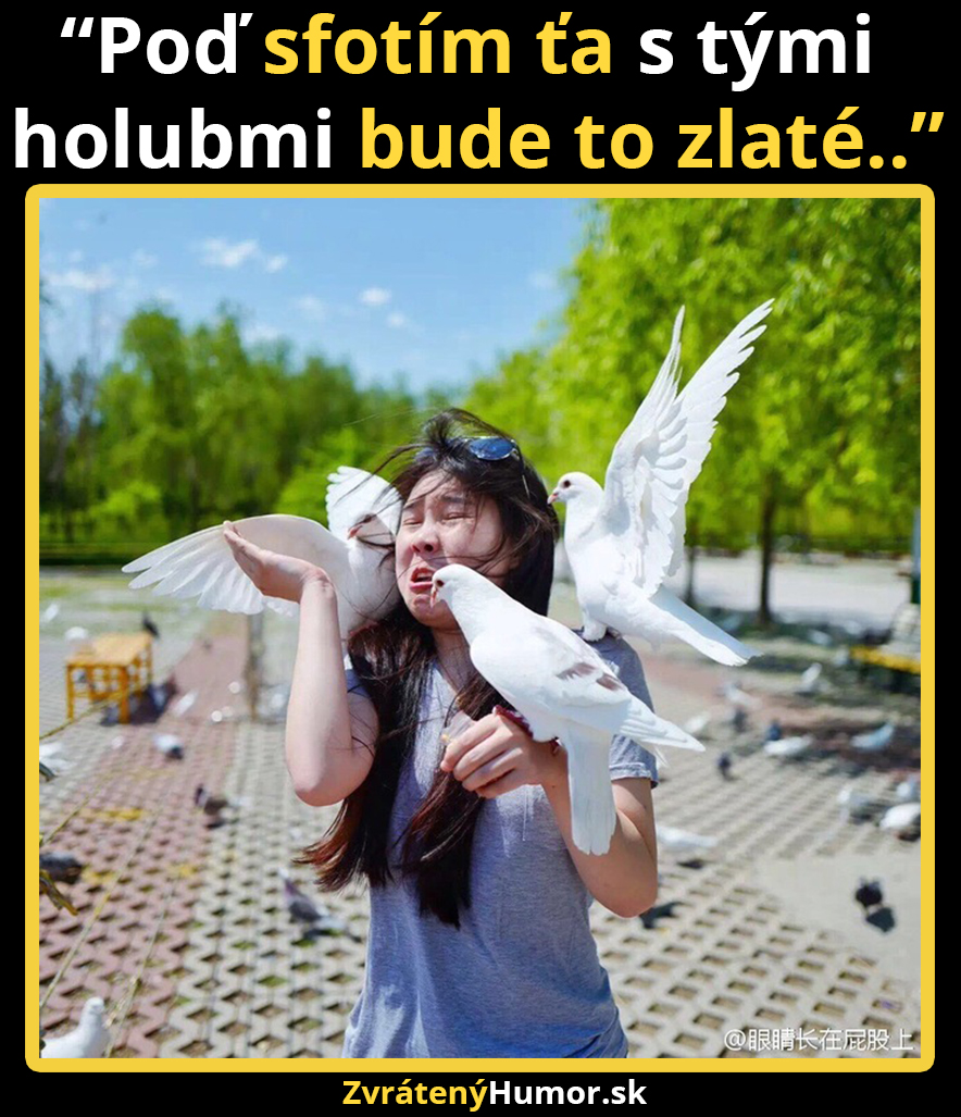 holuby