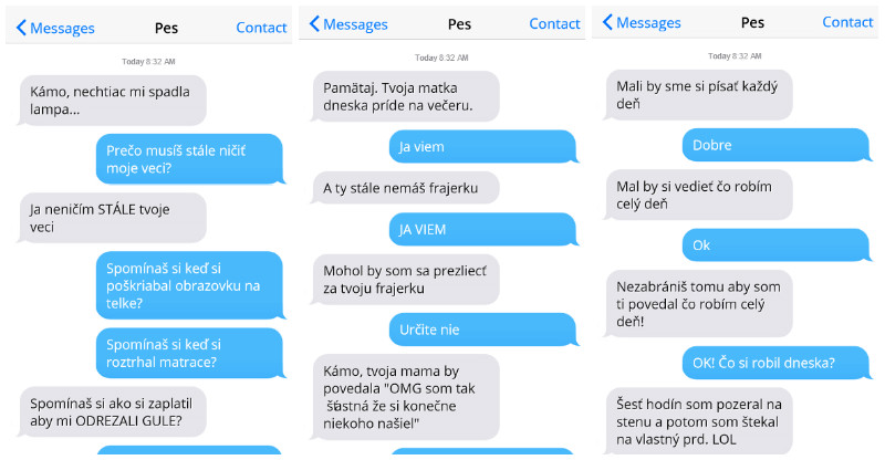 Keby tvoj pes vedel SMS-kovať, konverzácia by vyzerala asi nejako takto (16 obrázkov)