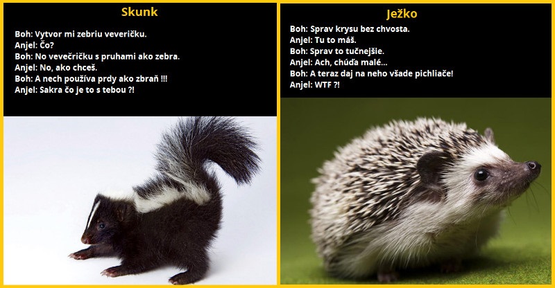 Ako Boh približne vytváral zvieratá (5 príkladov)