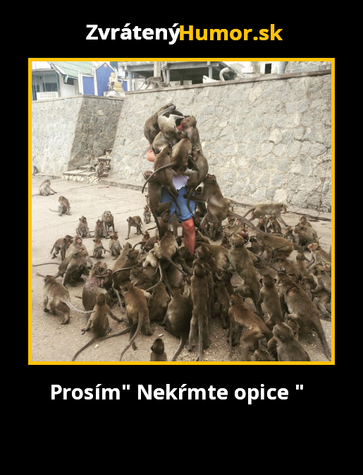 Meme96523