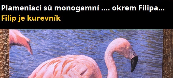 Chlapík lepí vymyslené fakty o zvieratách po celej ZOO v LA