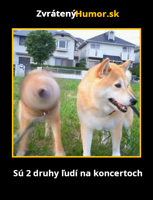 Meme83833