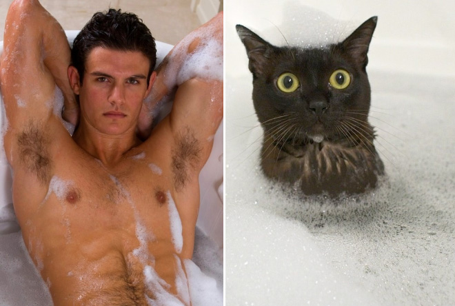 17 Obrázkov: Modely a modelky vs. mačky