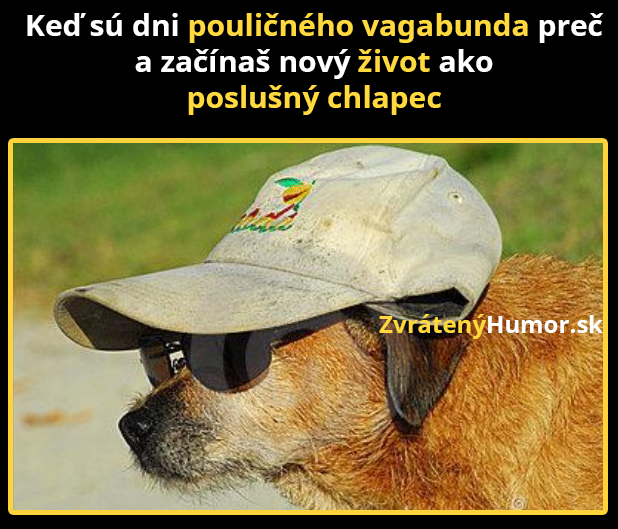 novyzivot_poslusny