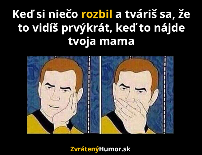 rozbil
