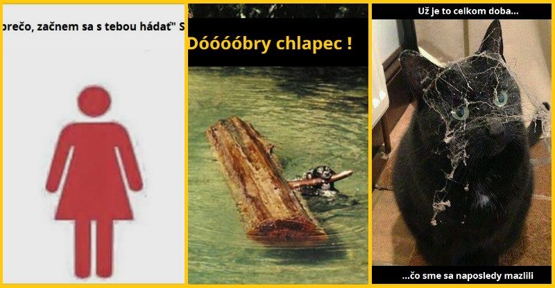 Meme na zlepšenie nálady (10 obrázkov)