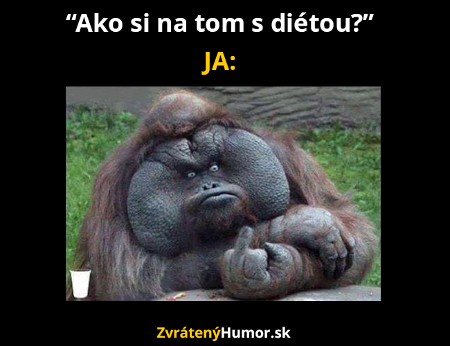 dieta
