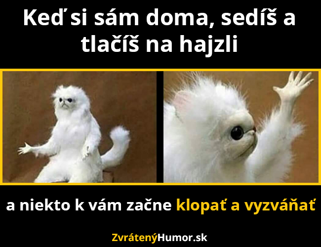 hajzli
