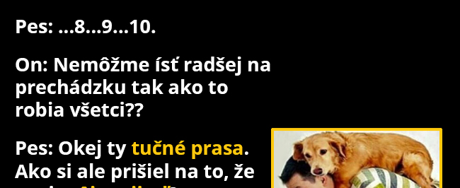 Mazlíček