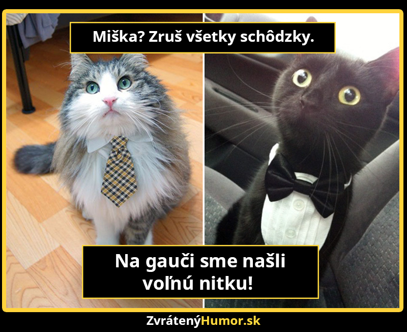 macky7