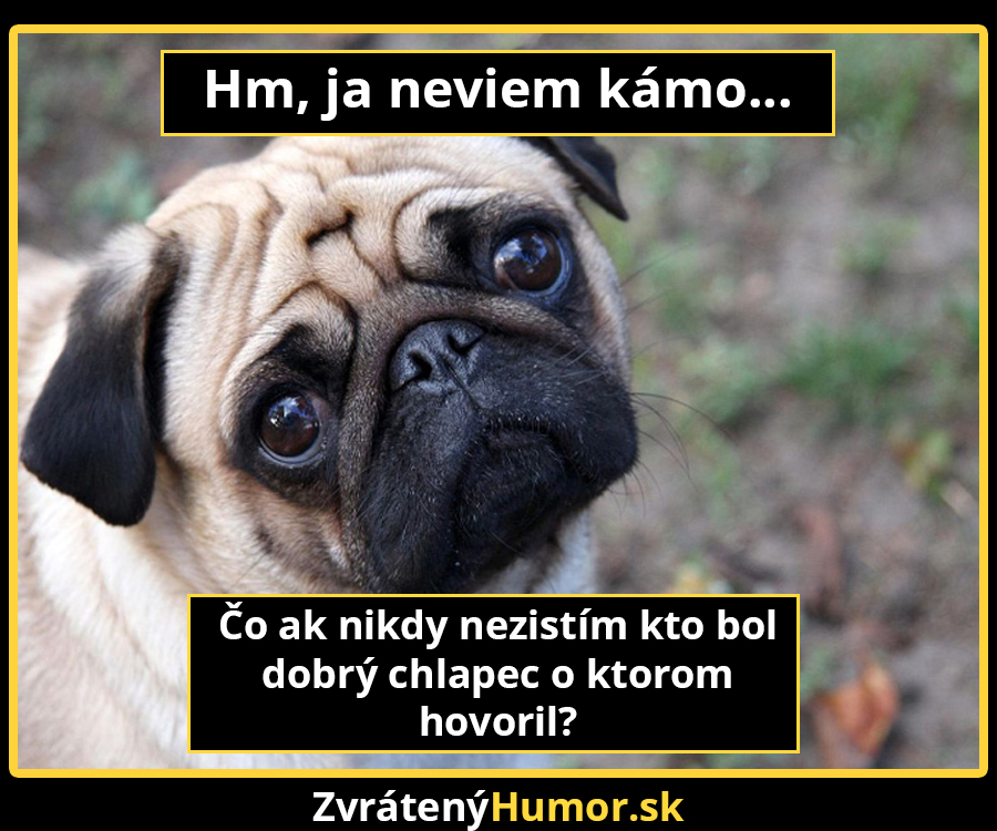 smutne_pugs