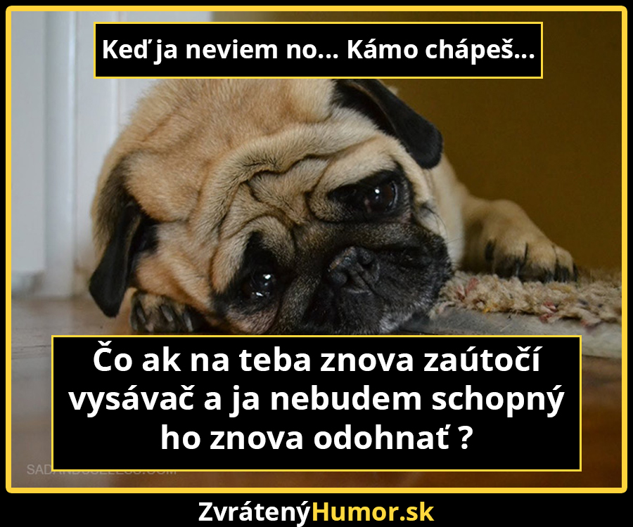 smutne_pugs2