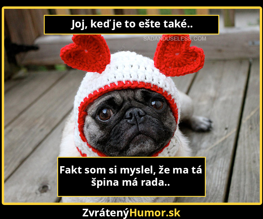 smutne_pugs4