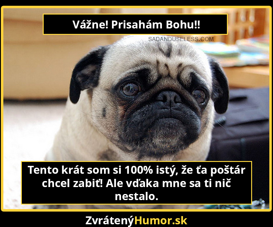 smutne_pugs6