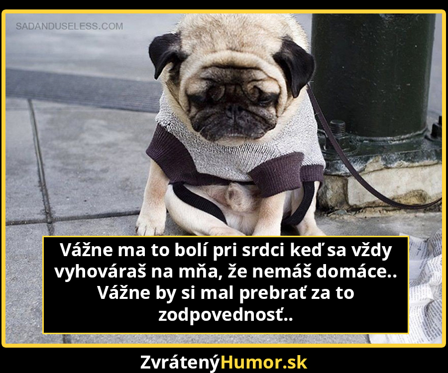 smutne_pugs7