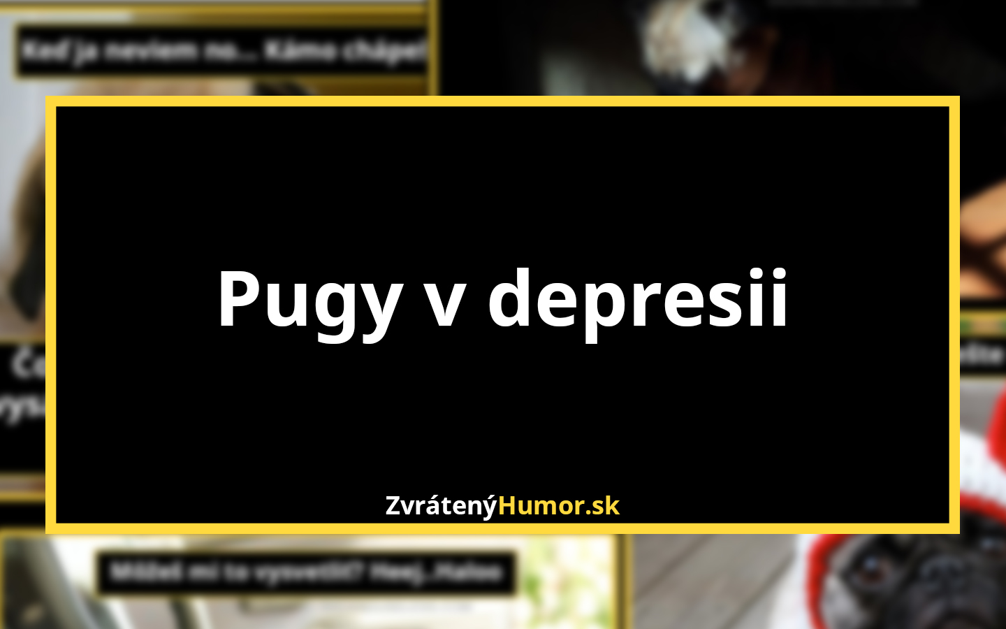 titulka_pugs