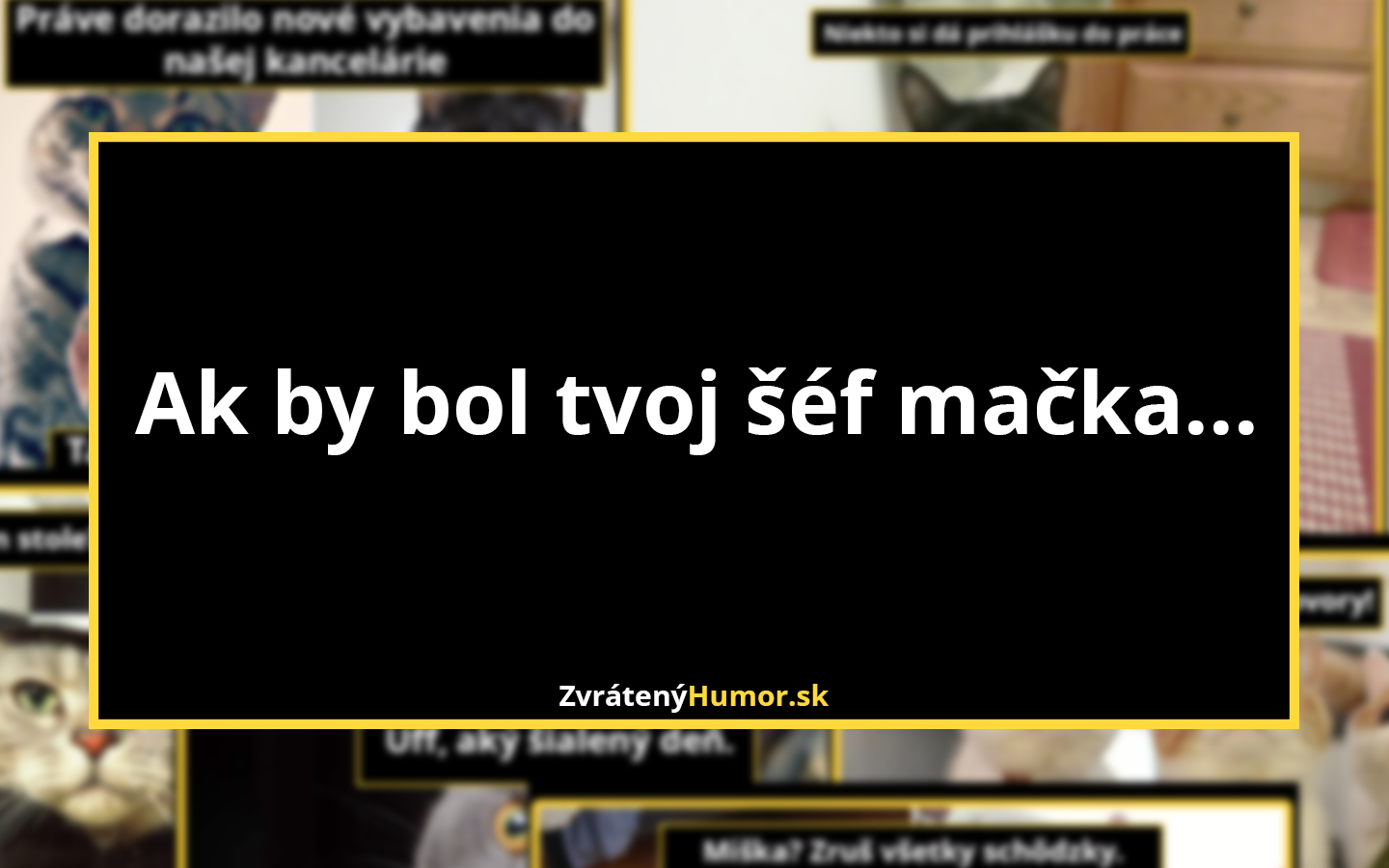 Ak by bol tvoj šéf mačka… (7 obrázkov)