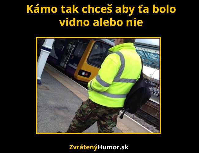 vidno