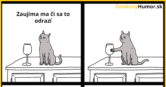 Cat logic