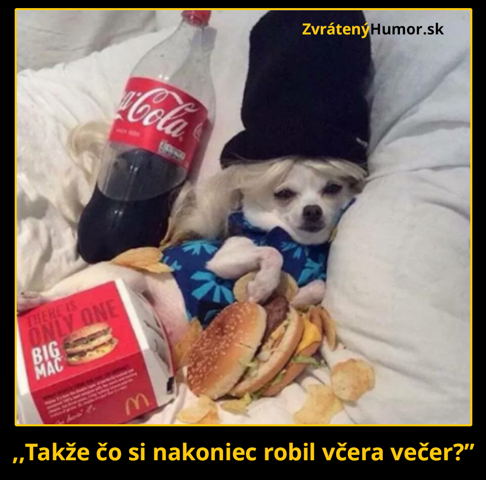 doggyg