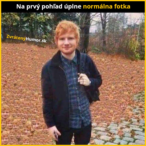 fotka