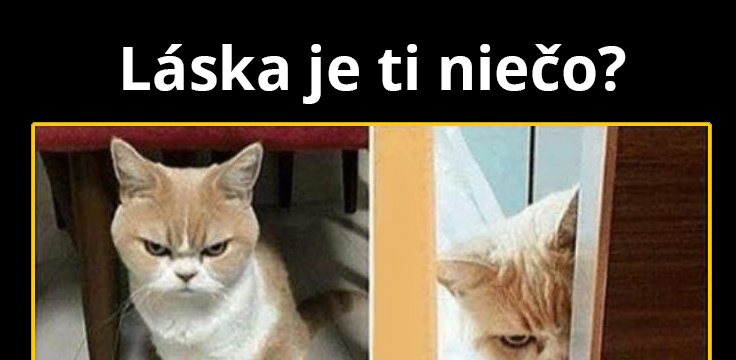 Nie prepáč… To sa mi len zdalo