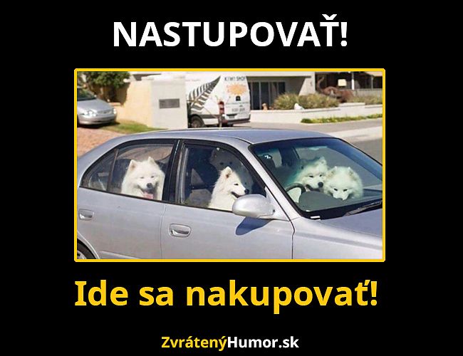 nastupovat