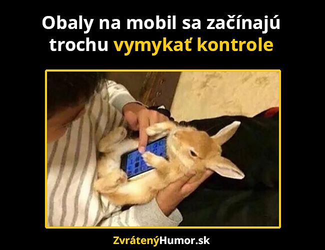 obaly