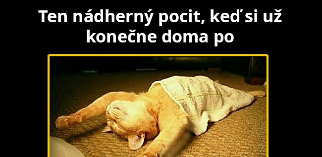 Dajte mi už pokoj