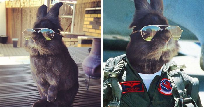 20 Obrázkov: Najväčší Badass zajac v hre spustil PS battle