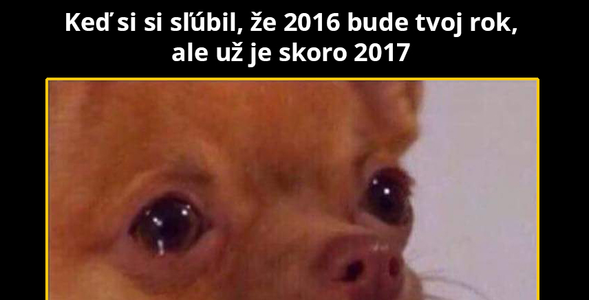 R.I.P. predsavzatia