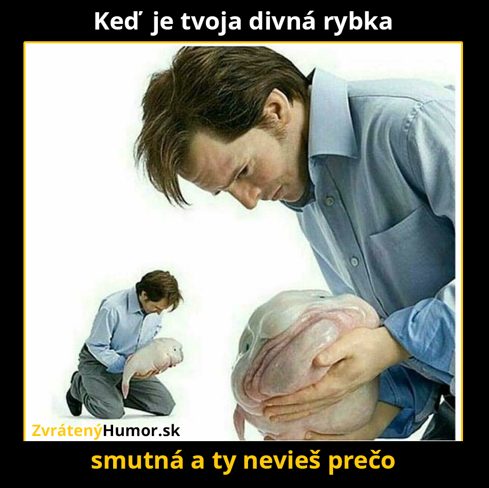 ryba