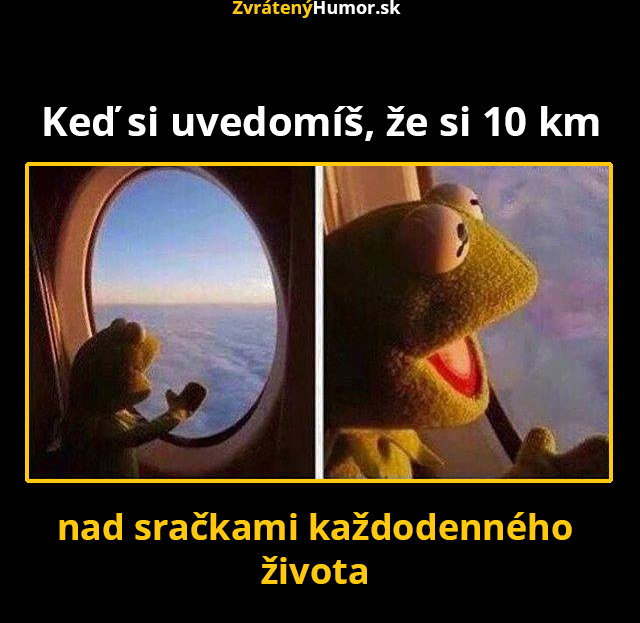 srackys