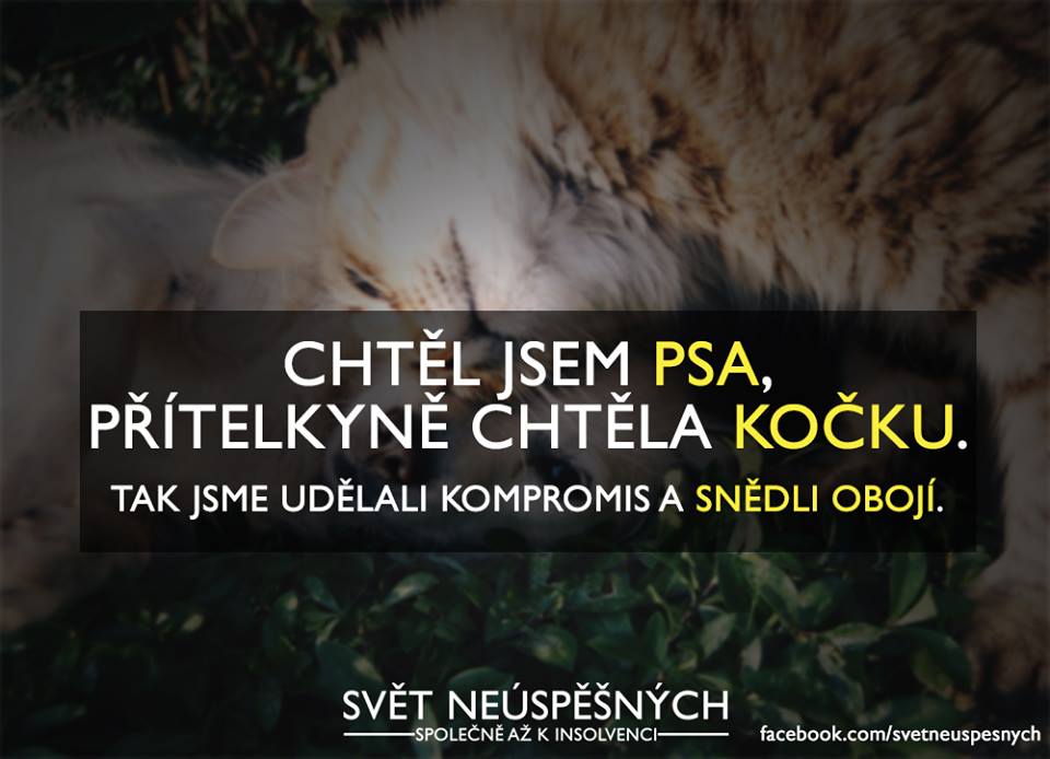 svet-neuspesnych5