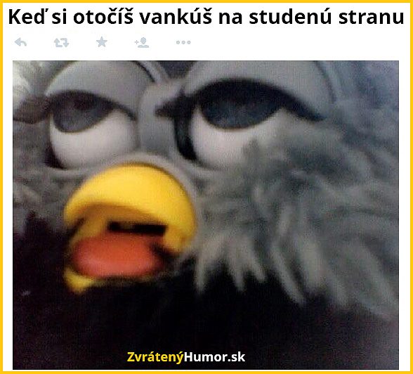 vankus