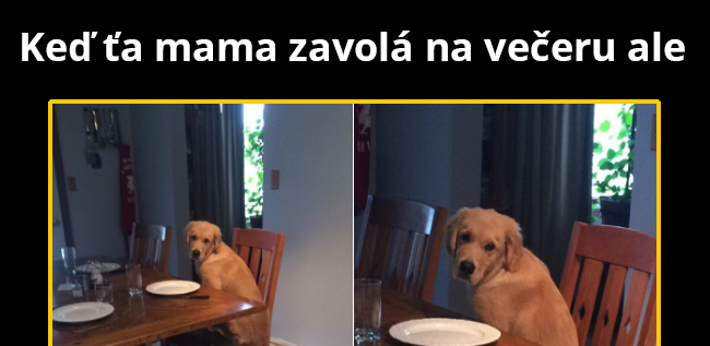 Prečo nám to robia?