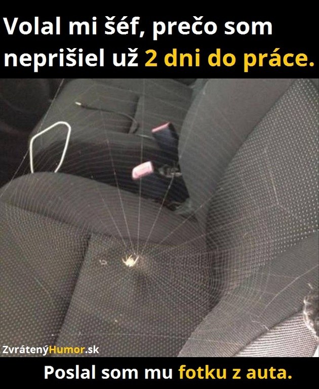 pavuk
