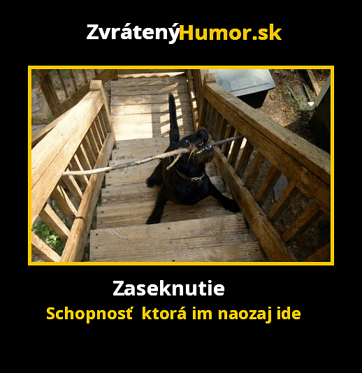 meme51260