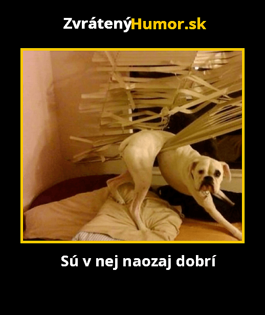 meme68021