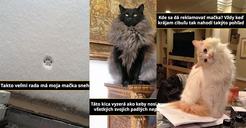 „Mačkovské“ snapy pre pohladenie duše (10 mačičiek)
