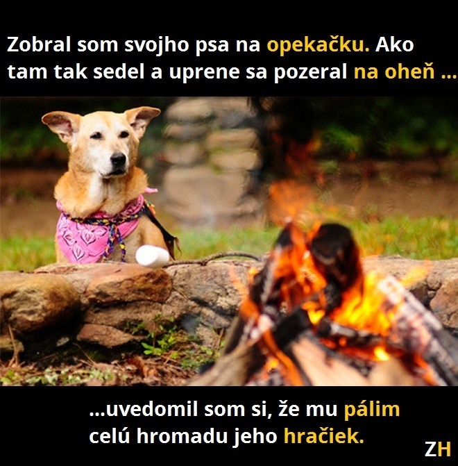 campfire