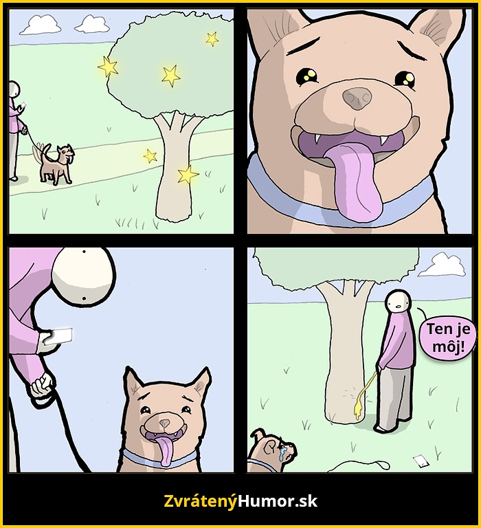 dogo