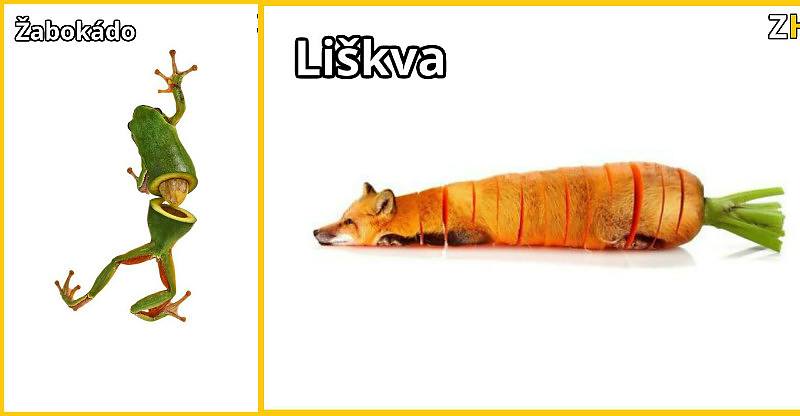 Podivné hybridy zvierat a zeleniny sa vás chystajú pobaviť (10 hybridov)