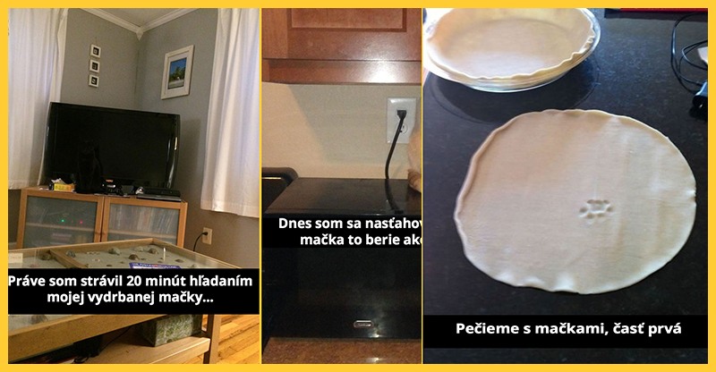 „Mačkovské“ snapy pre pohladenie duše #2  (10 mačičiek)
