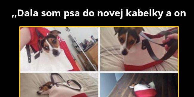 Všade dobre, v kabelke najlepšie