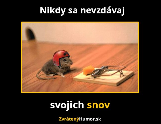 sny