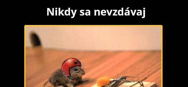 Bojuj!