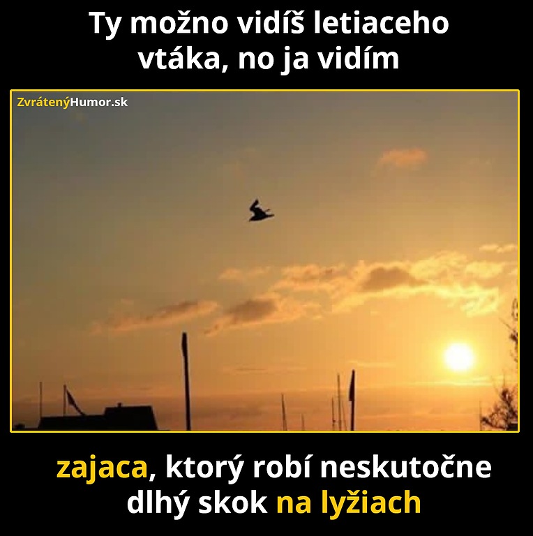 zajac