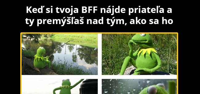 Povinnosti najlepšej kamarátky