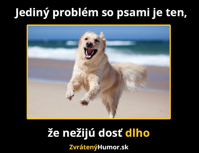 dlho